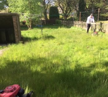 Grass Cutting Rutherglen | Garden Tidy Ups & Hedge Trimming Rutherglen